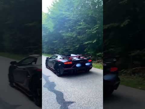 Is it even legal, to fire up in jungle!!?😎| Aventador SVJ