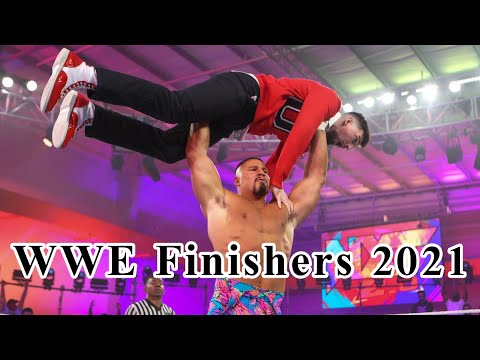 WWE All Finishers 2021 (male)