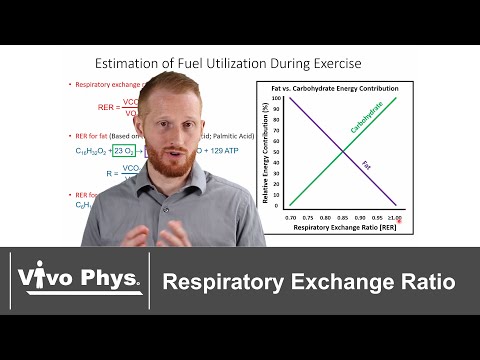 Respiratory Exchange Ratio (RER) Explained