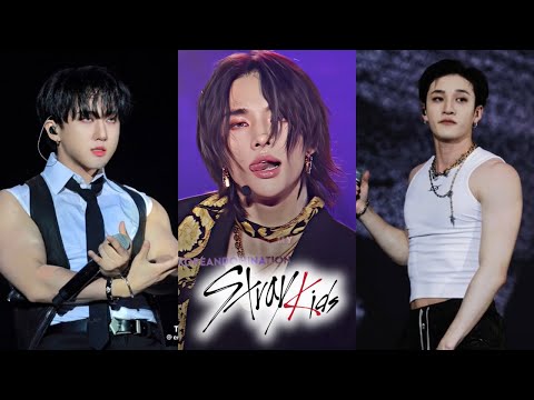 Stray Kids 스트레이 키즈 HOT tiktok  ⭐  #6