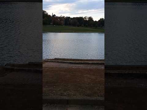 Capturing The Beauty Of A Fall Day By The Water