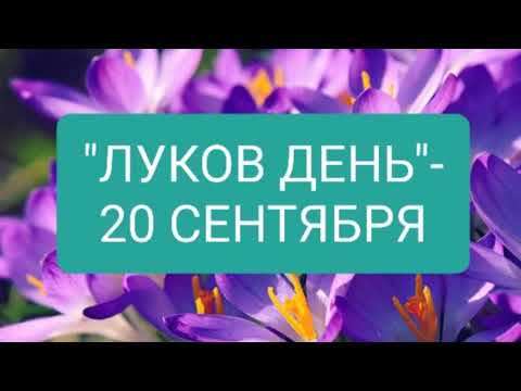 "Луков День", "ЛУКОВНИЦА", "ЛУКА", "СОЗОНТ"-20 СЕНТЯБРЯ. ДЕНЬ ЛУКИ КАППАДОКИЙСКОГО!