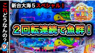 【新台 P大海物語5スペシャル】実践動画！2回連続で魚群がくるとどうなる⁉️(編集部ビル君実践動画2024/11/11,13）