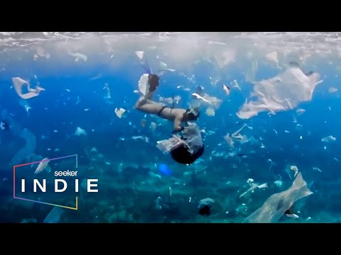 Short Film: Plastic Pollution Is Too Big to Ignore in This Beach Paradise