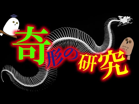 【ゆっくり解説】なぜヘビに肢がないのか？：奇形と大進化【 進化 / 遺伝子 / 科学 】