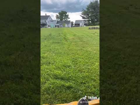 Mowing on Tik Tok!!