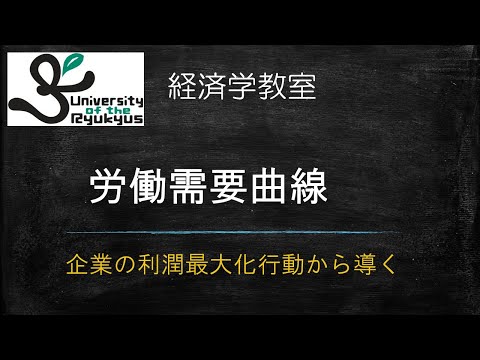 労働需要曲線(No73) 企業の利潤最大化行動から理論的に導く