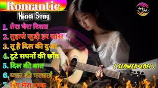 Hindi Romantic song || New Gana 2025 || Hindi Slowed Lofi Song 💞 || Sadabahar Song Hindi || New Song