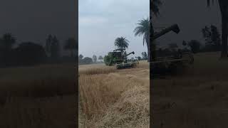 malkit combine #bharatvarsh #youtubeshorts #farming #gehu #kisan