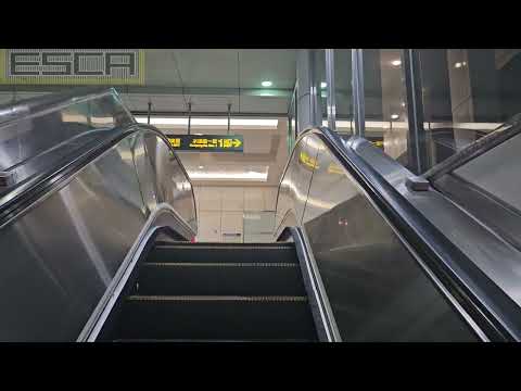 Taiwan Mie Station, Escalator from Zhonghe-Sinlo Line