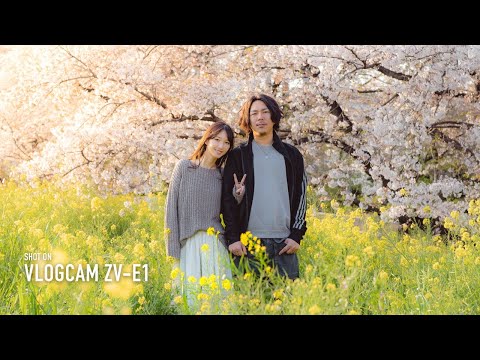 SAKURA | Cinematic Vlog Shot on VLOGCAM ZV-E1