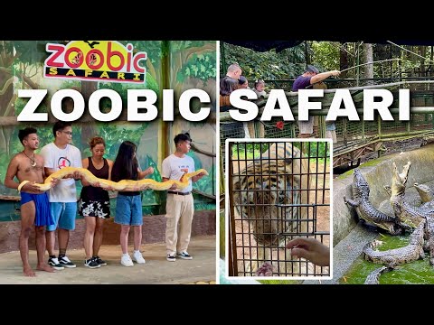 Subic Bay’s ZOOBIC SAFARI TOUR - The Best Wildlife Experience in Zambales | Philippines