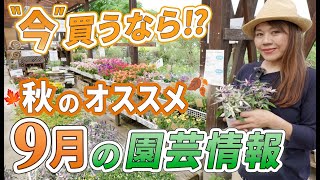 【見なきゃ損!】 9月•10月の"お買い得"園芸情報をご紹介します♪【初心者向け】【ガーデニング】【園芸チャンネル】