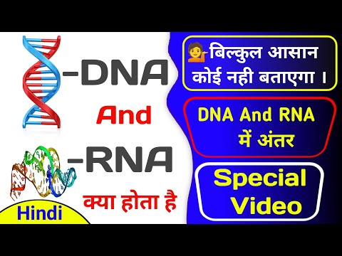 DNA And RNA क्या होता है || What is DNA and RNA || DNA And RNA अन्तर in Hindi Difference between DNA