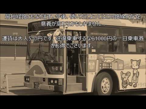 【免許維持路線】【1年に1本】【廃止済】和歌山バス和歌山市内線22系統（JR和歌山駅→浜の宮海水浴場前→マリーナシティ）【免許維持区間フル収録】＆おまけ（雑賀崎循環線一部区間）