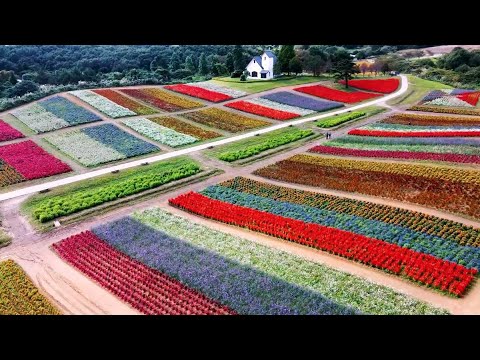 【宮城県観光映像】やくらいガーデン