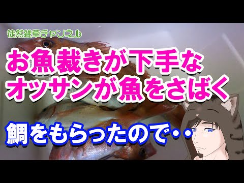 0063 魚裁きが下手なオッサンがタイを裁く！