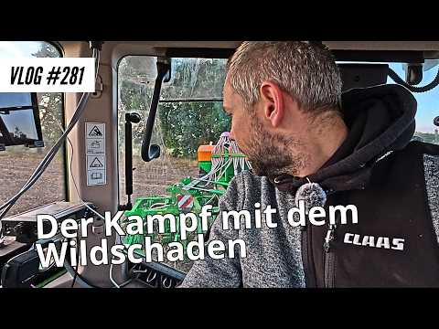 Vlog #281 Der Kampf mit dem Wildschaden