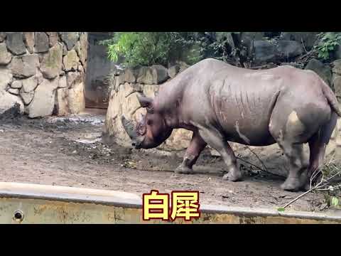 上野動物園