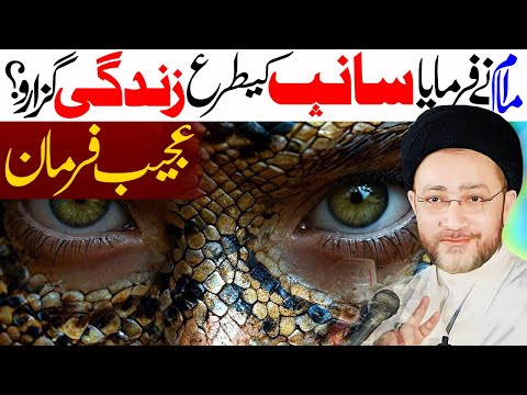 Imam Ney Farmaya Saanp Ki Tarhan Zindagi Guzaro | Moulana Shenshah Hussain Naqvi