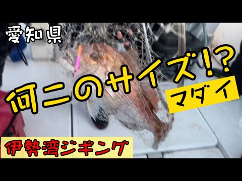 伊勢湾ジギングで化け物みたいな真鯛が釣れる