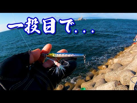 太刀魚が爆釣している堤防に行ってみると一投目でヤツが！！