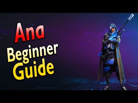 [Ana] Beginner's Guide