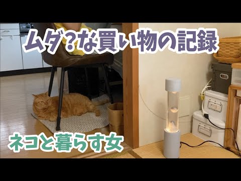 【Vlog】生活に必要のない物ばかり買う動画【自由】