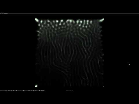 Physarum slime mold simulation - Arsiliath Compute Shader Course