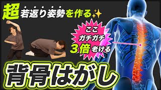 ⚠️コレできないと3倍老ける⚠️過去1番ストレートネックを改善させる【背骨はがし】