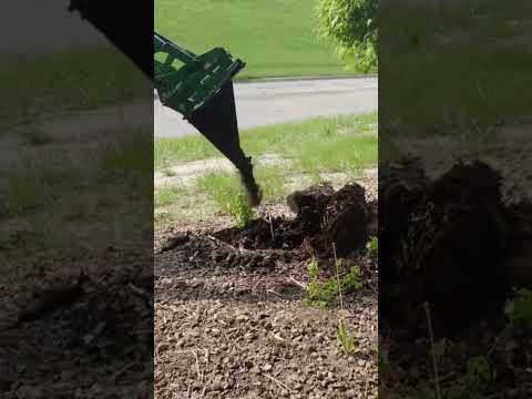 Lifting Stump to Removal #stumpremoval