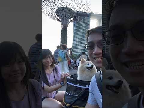 Touring Gardens By The Bay!! Pet-Friendly Places!! || 滨海湾花园的狗狗友好地方!!