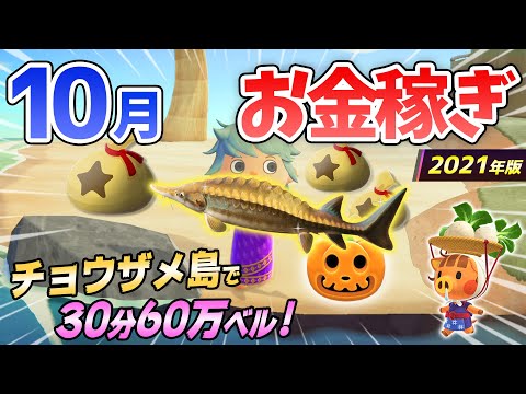 【あつ森】10月のお金の稼ぎ方！時間操作なしで30分60万ベルを安定して稼ぐ最強の方法を紹介！チョウザメ島やかぼちゃなど超オススメの金策法！【あつまれどうぶつの森　10月お金の稼ぎ方】