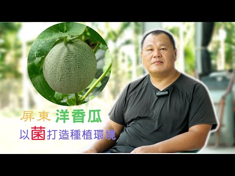 【屏東鹽埔】洋香瓜達人謝富賢 從零學習以菌打造種植環境|用心的產業|美麗心台灣(445) #美麗心台灣 #洋香瓜 #阿露斯 #極光 #光合菌 #湘柔媽咪溫室農場 #謝富賢