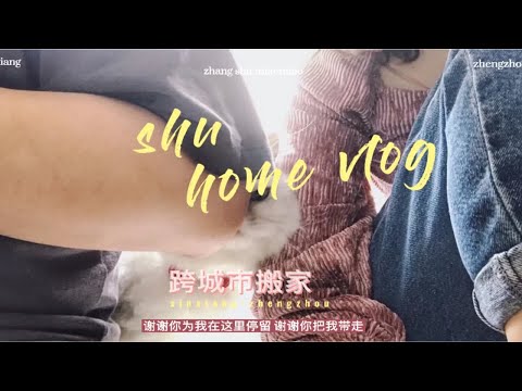 vlog｜我们带着小猫咪跨城市搬家