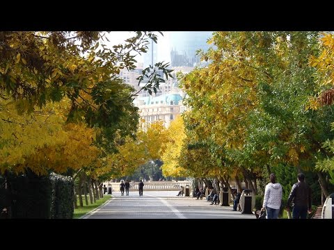 Осенний Бульвар   The Boulevard   Autumn