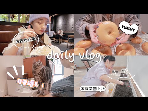 VLOG#34｜一人一猫｜独居两餐｜虾仁菠菜意面｜烤贝果吐司蛋糕卷｜逛超市买零食｜淀粉肠炸串超好吃｜外食踩雷｜菜园阶段性发展｜晚间护肤