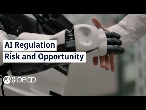 AI Regulation: Balancing Risk and Opportunity