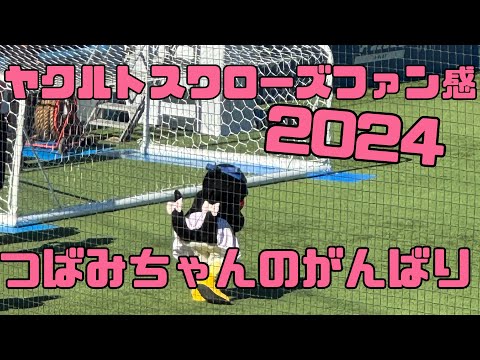 つばみちゃんの一生懸命がかわいい💚ヤクルトスワローズファン感謝デー2024