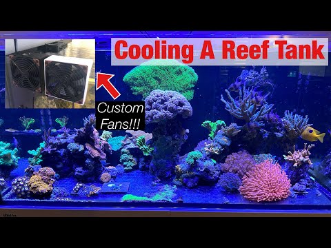 How I Cool My Red Sea G2 Reef Tank in the Summer