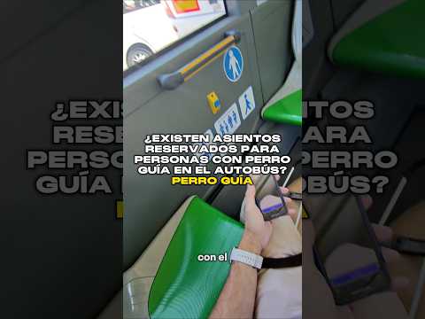 ¿Existen asientos reservados para personas con perro guía en el autobús? 🚌🦮🤔