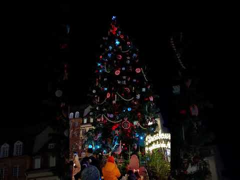 Christmas tree light up - Strasbourg| France