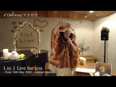 KOKIA  1 to 1 Live for you clips from Animal musical