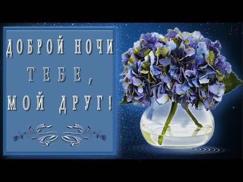 Доброй ночи тебе мой друг🎶💗🌙4K Самое красивое пожелание Доброй ночи