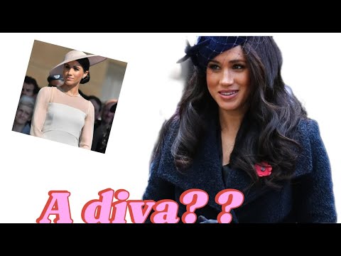 Duchess Meghan ‘is by all accounts a bit of a diva’ with ‘her own thoughts’