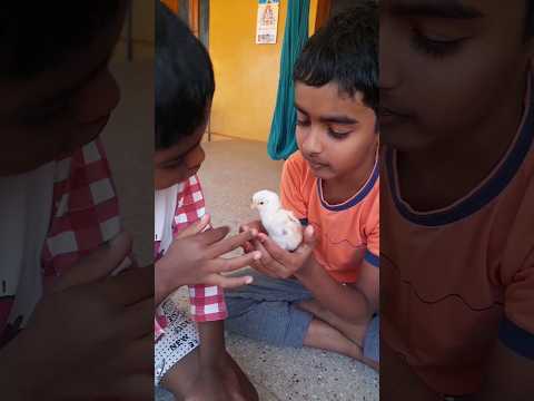 Minivlog#26/Evening Routine/உதிரியான சேமியா செய்வது எப்படி?/#shorts #shortvideo