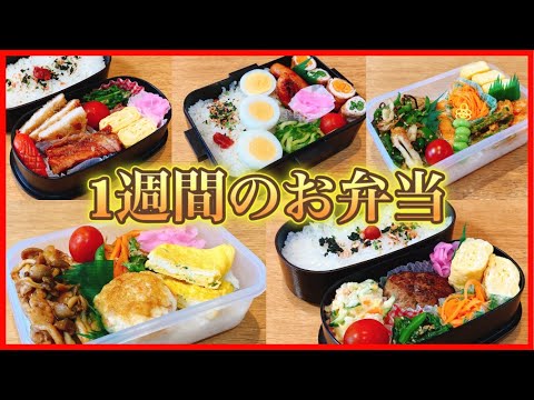 【夫のお弁当作り1週間】その日の気分で！！簡単なお弁当のおかず！！