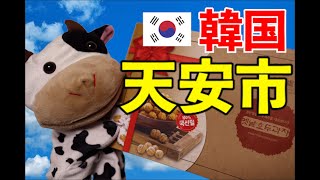 【韓国旅行】天安（チョナン）に行ってきました！　プデチゲとコプチャンのお店も紹介！！