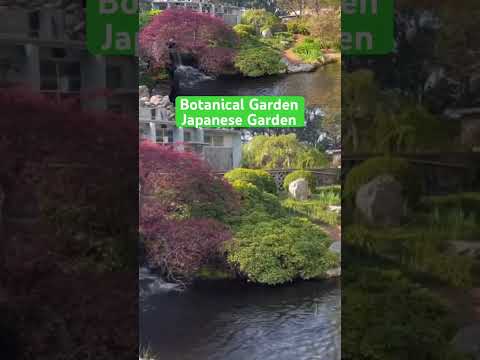 Botanical Japanese garden