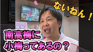 南高梅に小梅はあるの？　#shorts